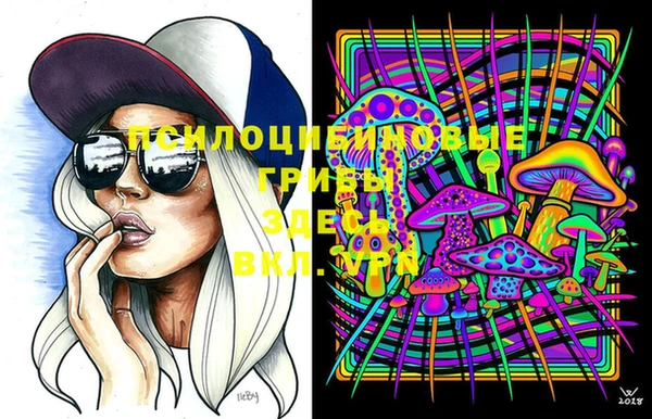 ГАЛЛЮЦИНОГЕННЫЕ ГРИБЫ Арсеньев